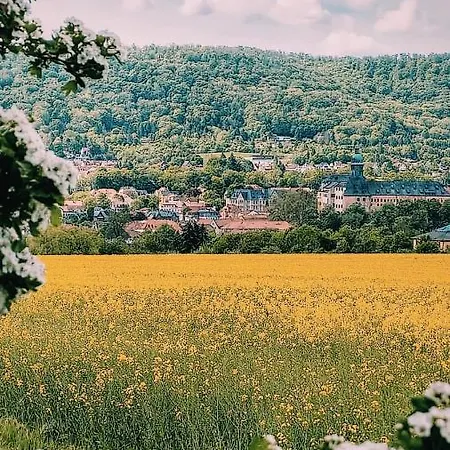 Trinitatis Appartamento Sondershausen